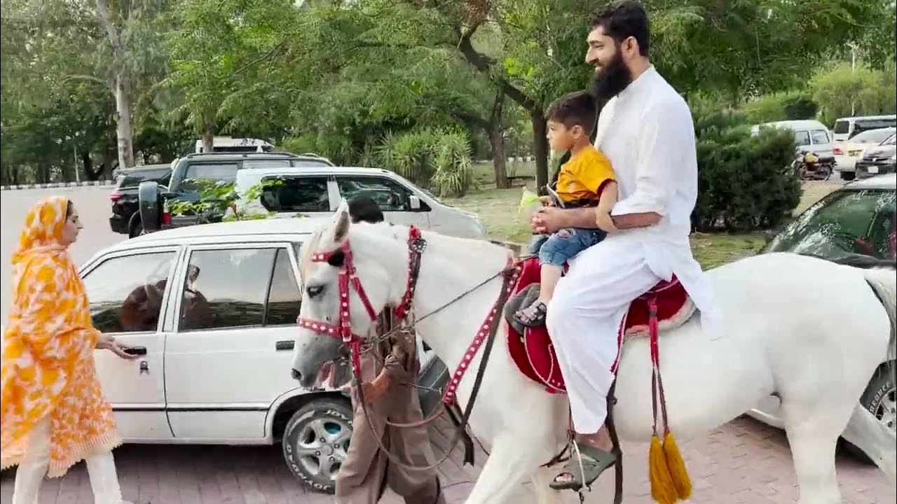 Video thumbnail: undefined - undefined